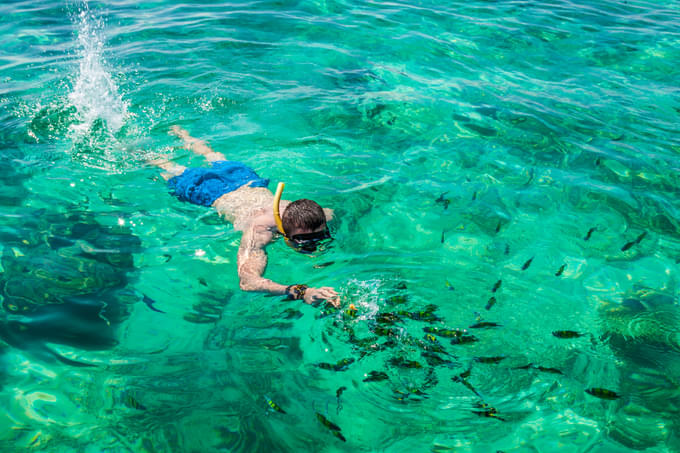 Snorkel underwater with proper equipments