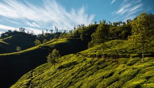 Rbs2c73qr7814w6beogu0myraaua downpic.cc 98005795