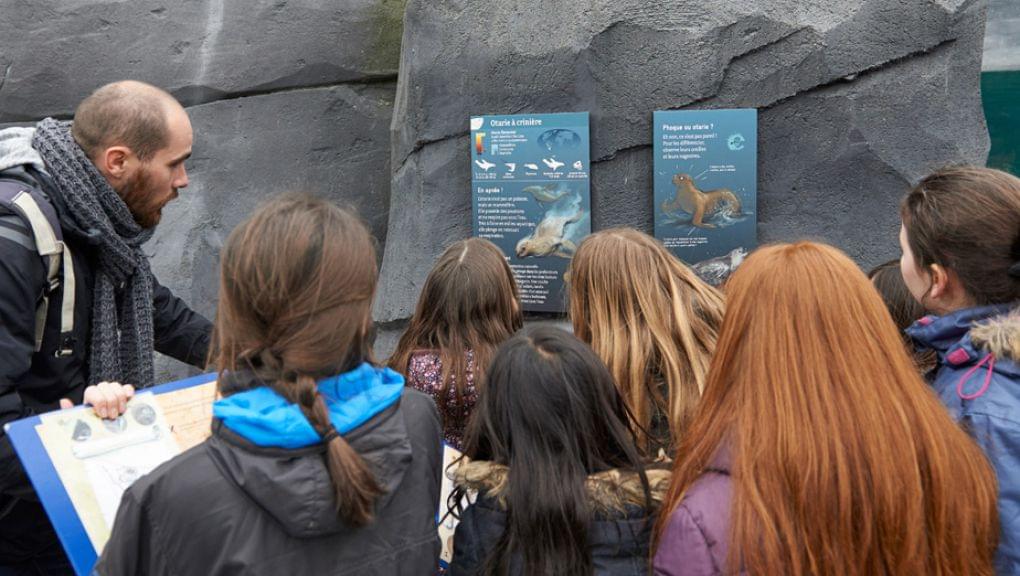 Activities within the zoo