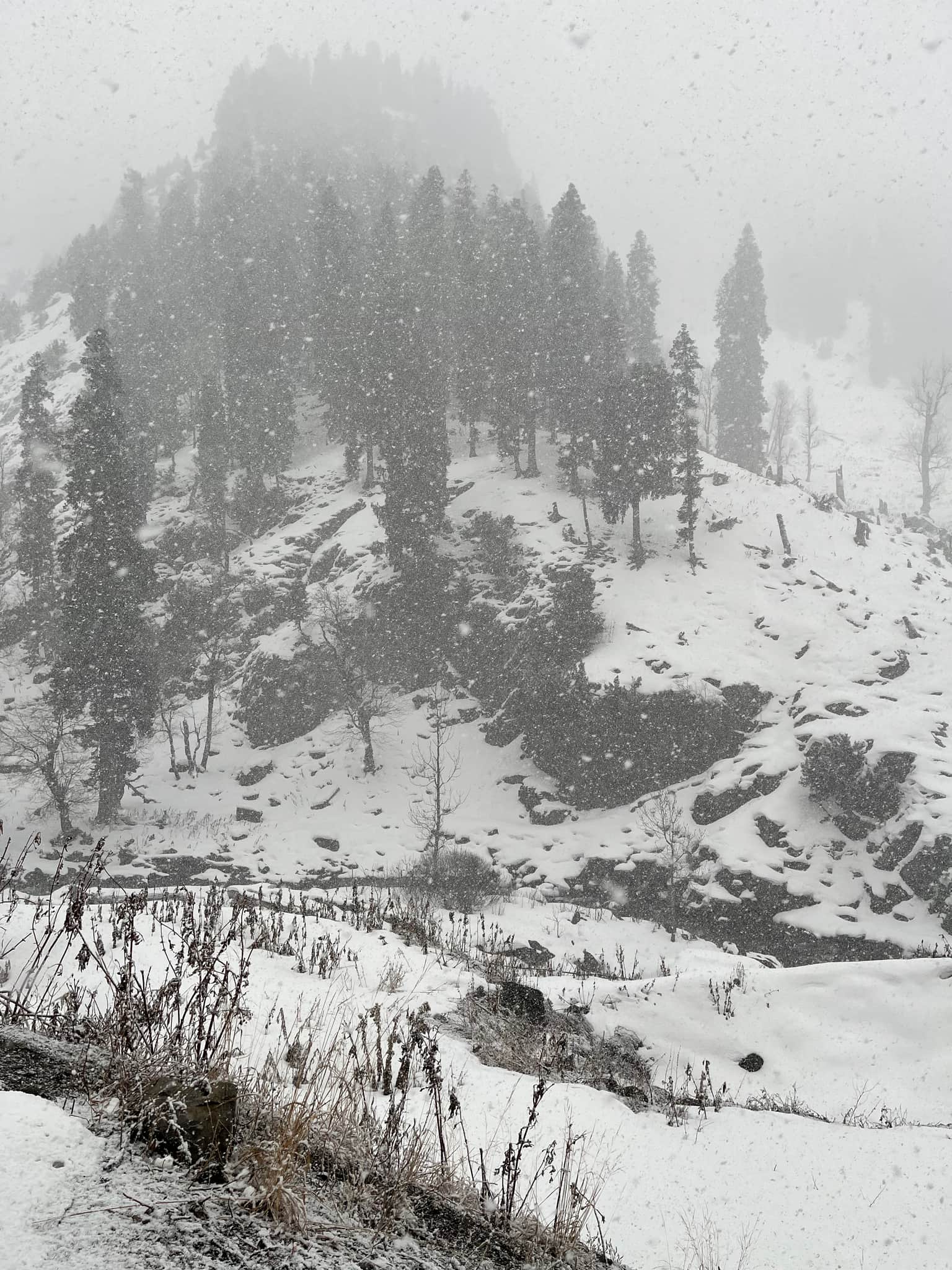 Photo from Dipanwita Biswas's trip