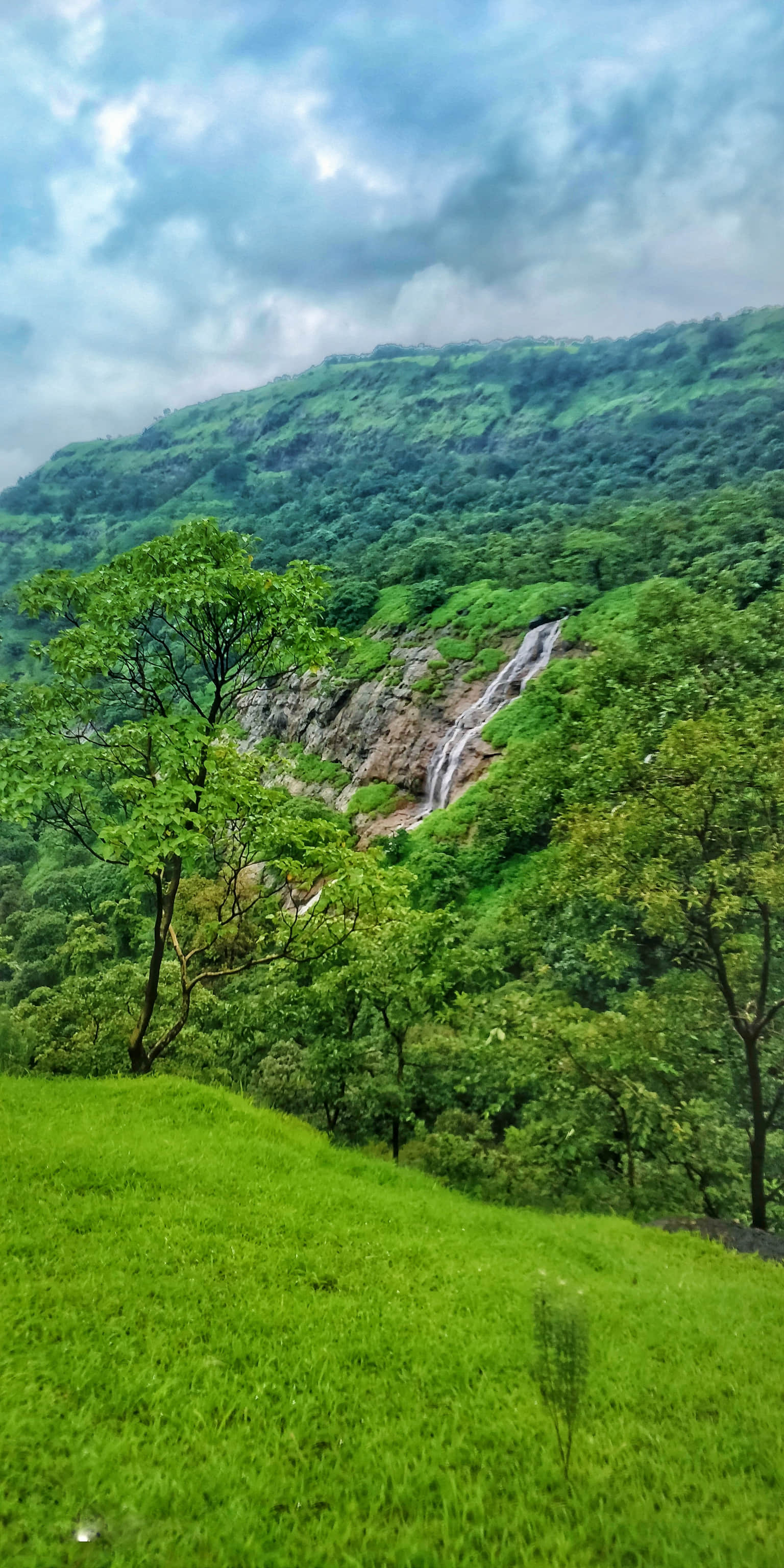Photo from Swapna Yelluru's trip