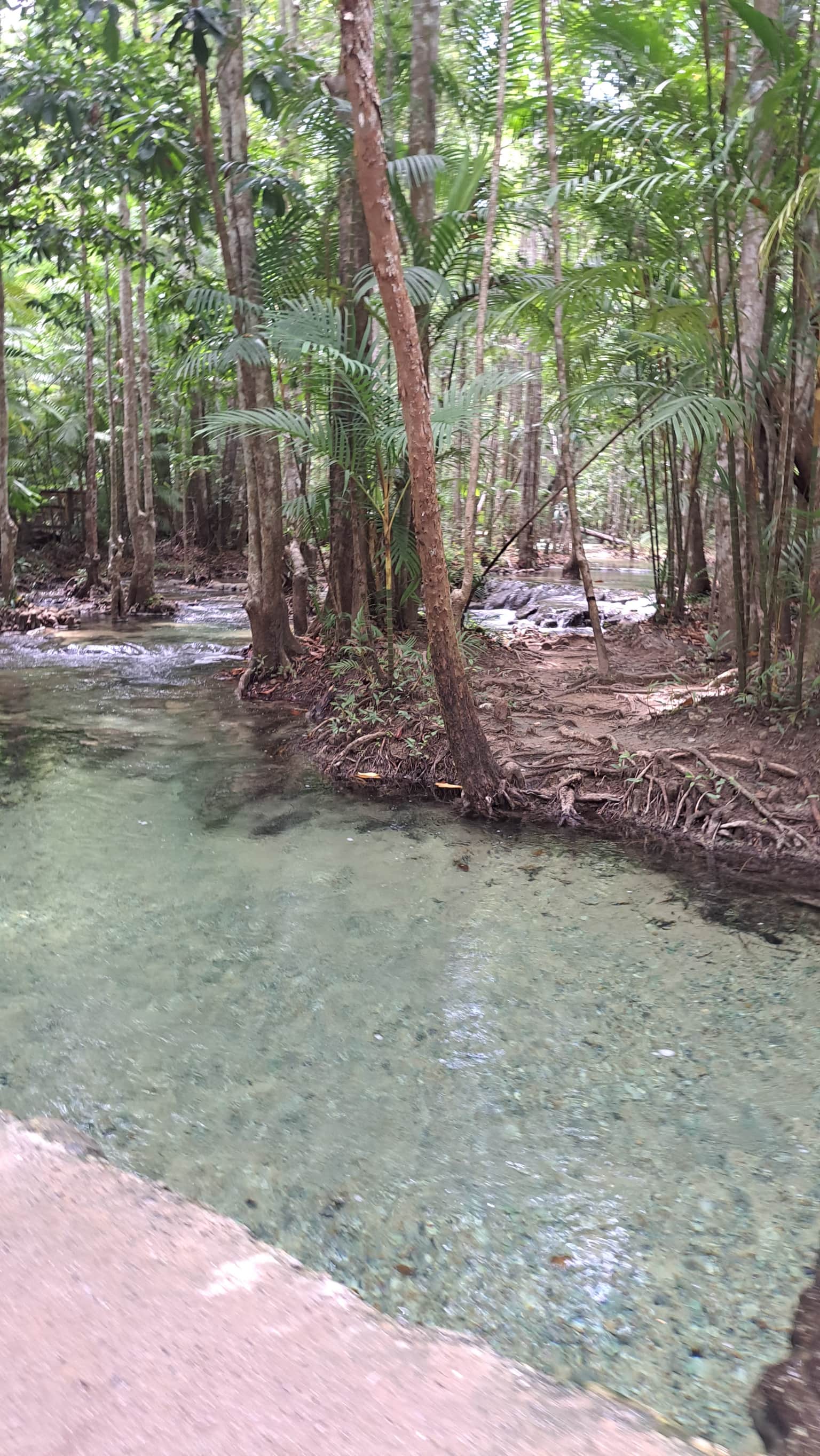 Photo from Kirandeep Kaur 's trip