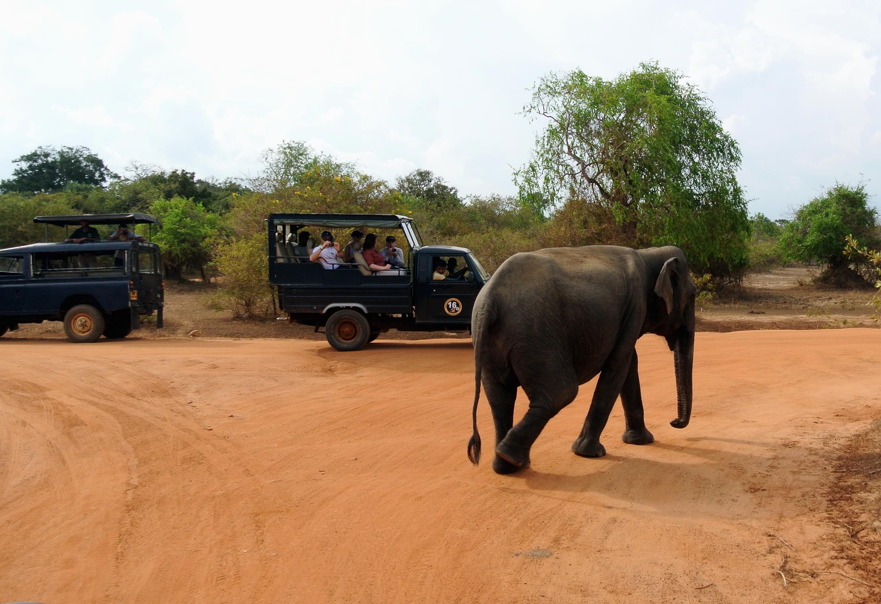 Yala National Park Overview