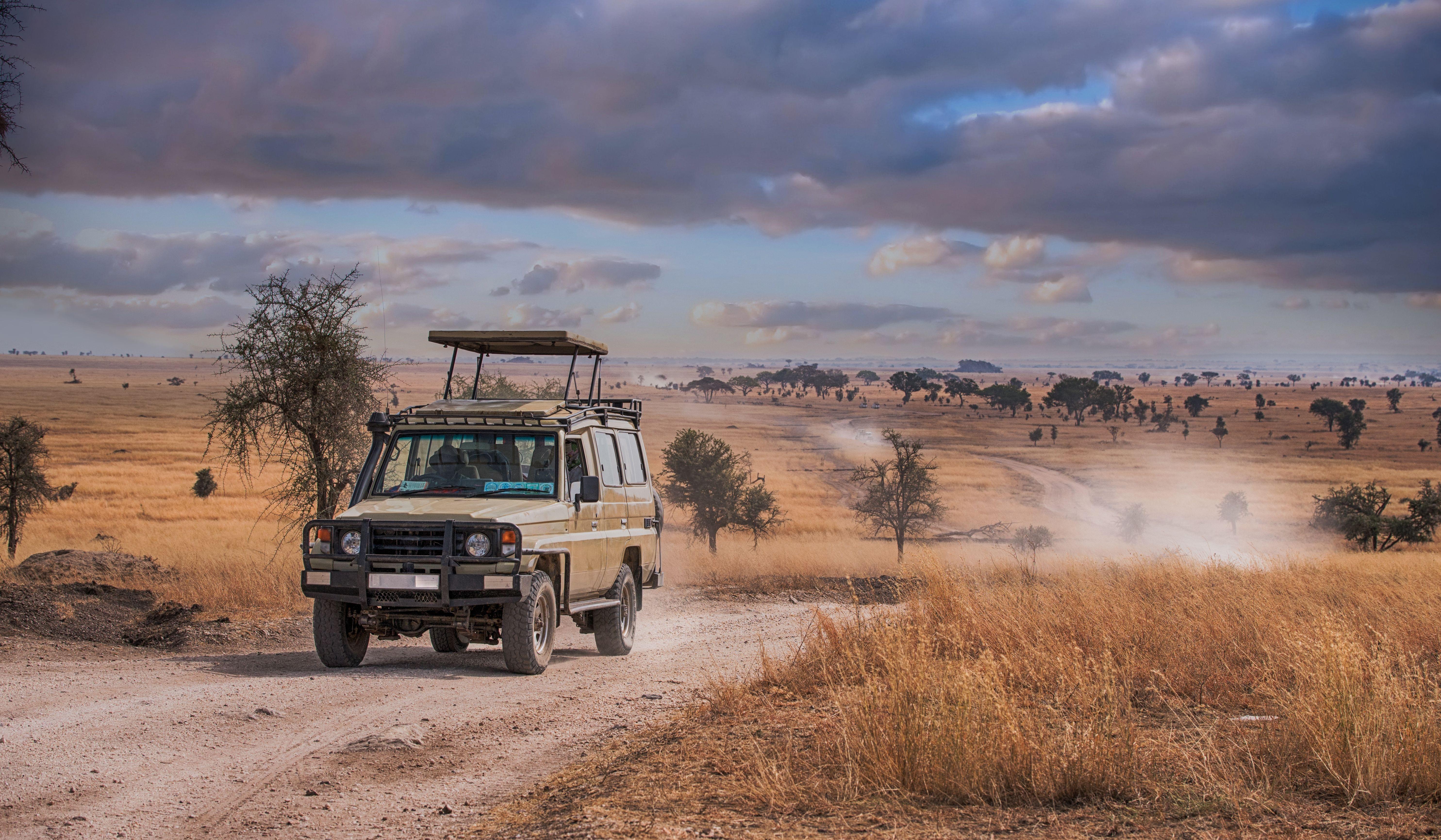 TANZANIA SAFARI HOLIDAYS