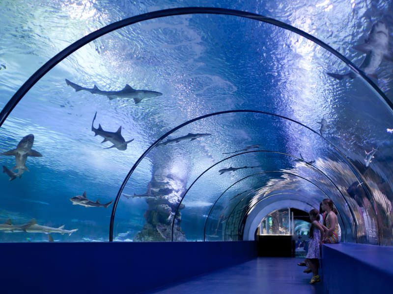 Antalya Aquarium Tickets