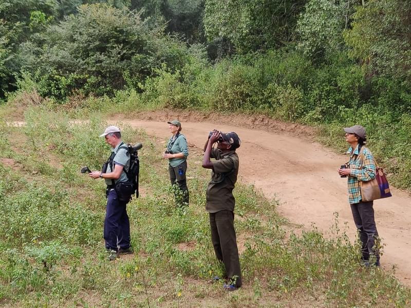 Periyar Nature Walk Image