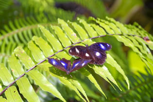 Rd03qmjt9s9qnd0lzwjummui7yad 1620380489 shutterstock 538882414