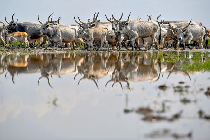 Hortobágy National Park