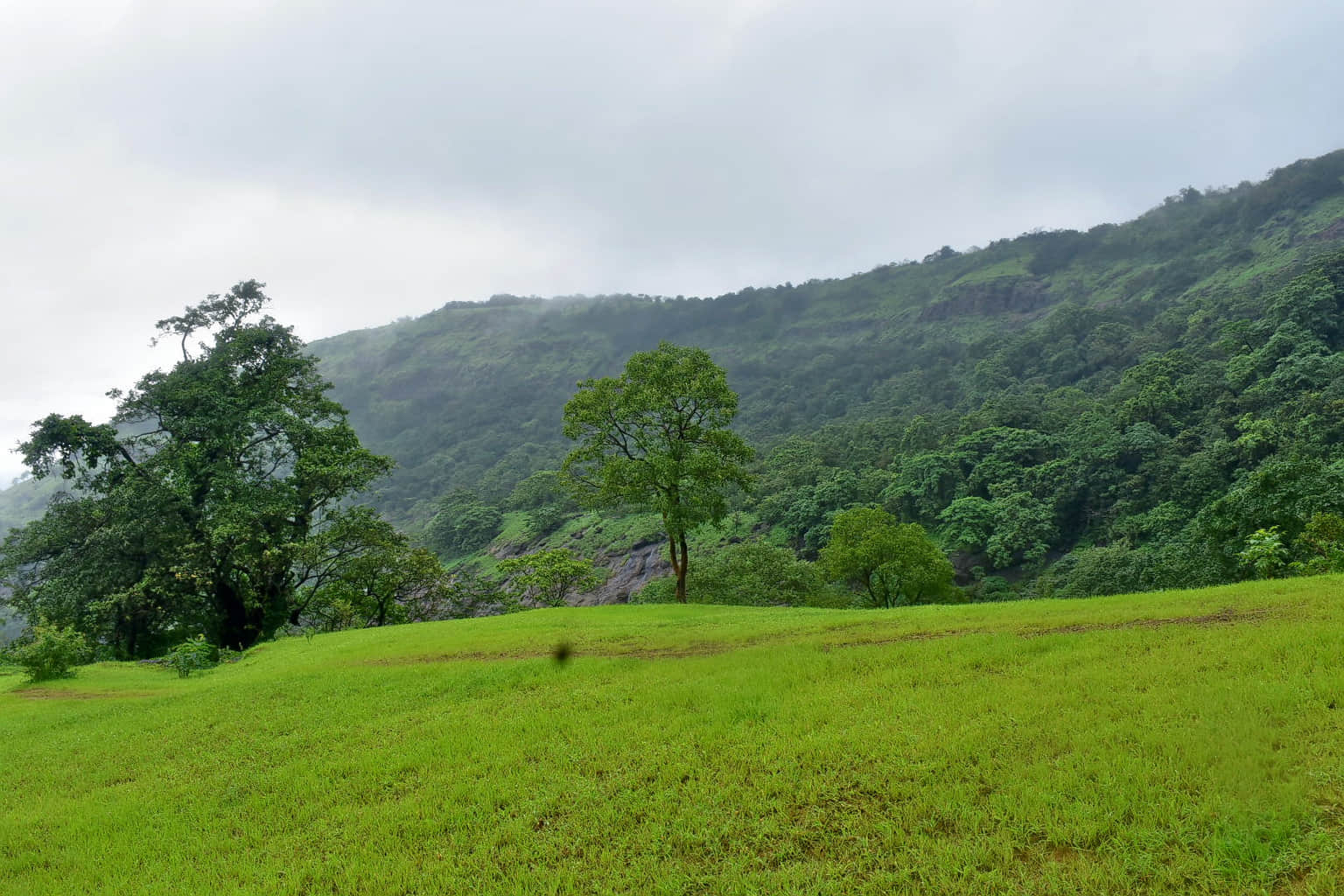 Photo from Snehanshu Shoms's trip