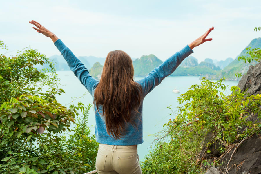 Halong Bay Full Day Dragon Cruise Image