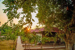 Rdqvvssoeah6i4lbo5n9i122lpw8 1585677392 g1