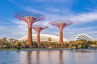 Amazing view of the Gardens By the Bay