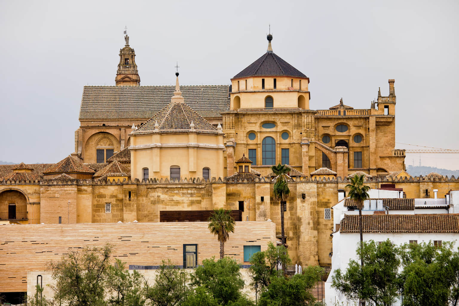 The Great Mosque-Cathedral