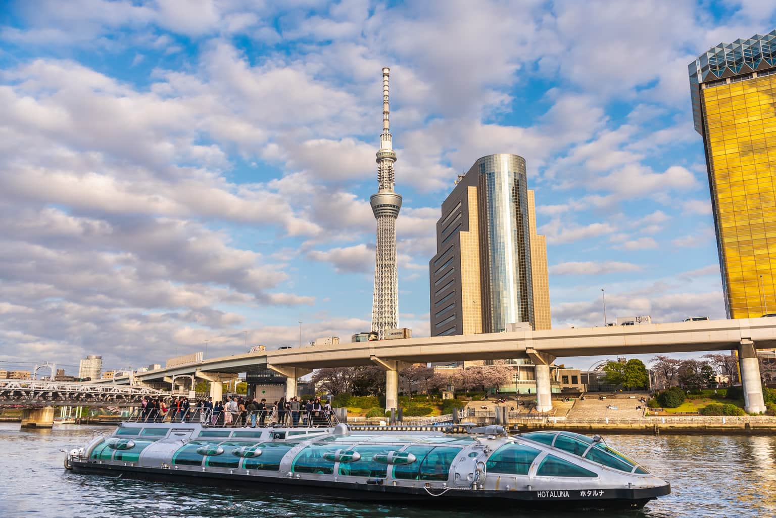 Tokyo Cruise Ship (Hotaluna)