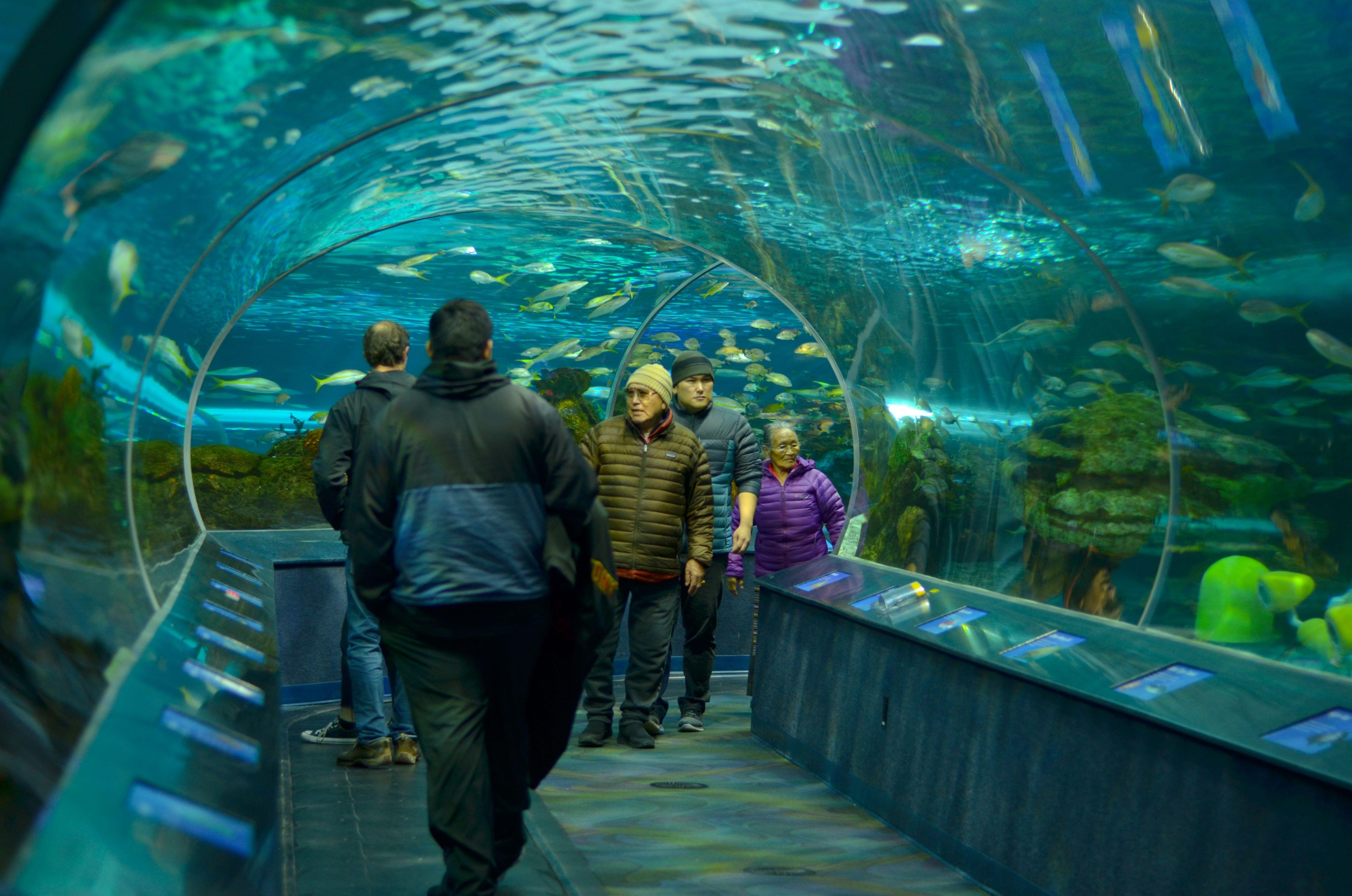 Aquariums in Canada