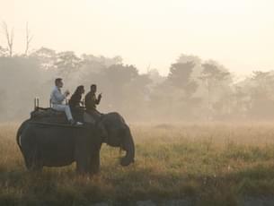 Rehji25exffzidph3667srhxywkk india tailormade tours kaziranga national park elephant trek 1920x1280