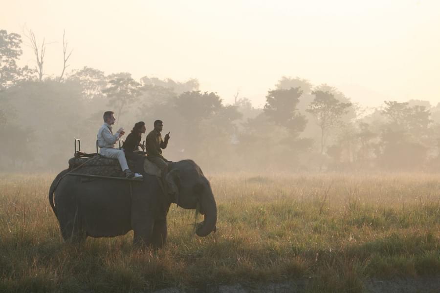 Trip to Meghalaya with Kaziranga | Free Jeep Safari Image