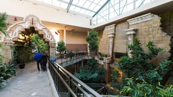 Relft1jz8b1xsidjvkl2lx6kus5k main aviary