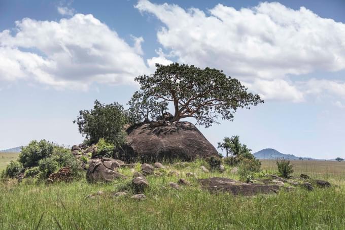 Kidepo Valley National Parks.jpg