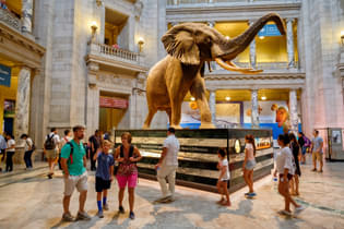 Remndogdizngmjrngca4qf8f24i8 1618984198 shutterstock 488066176