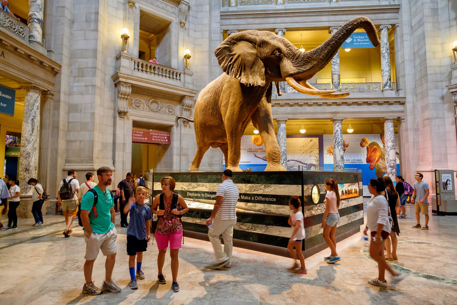 National Museum Of Natural History, <em>Washington D.C.</em>