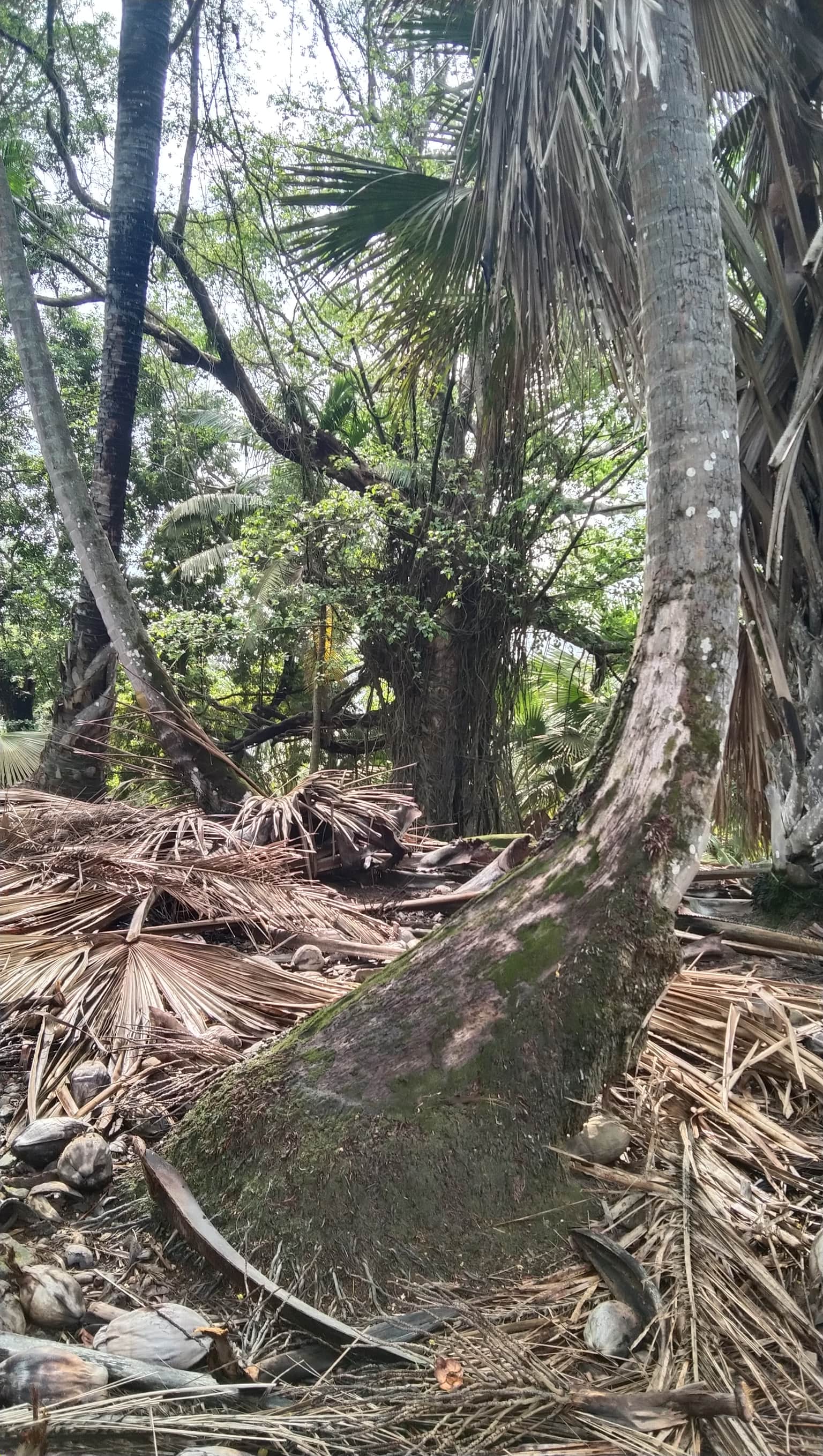 Photo from nidhi Jain's trip