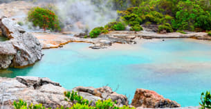 Rf4d1c97yvus6i8uovcntsxf7cp9 1583751946 te puia