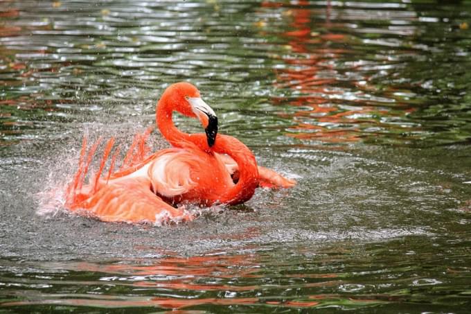 Philadelphia Zoo