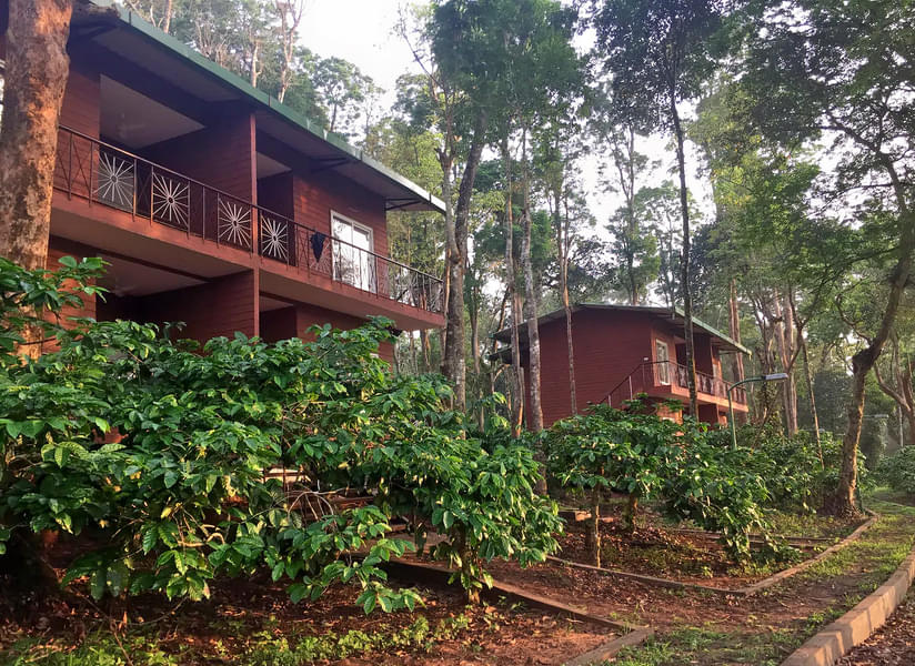 Machaan Wilderness Lodge, Coorg Image