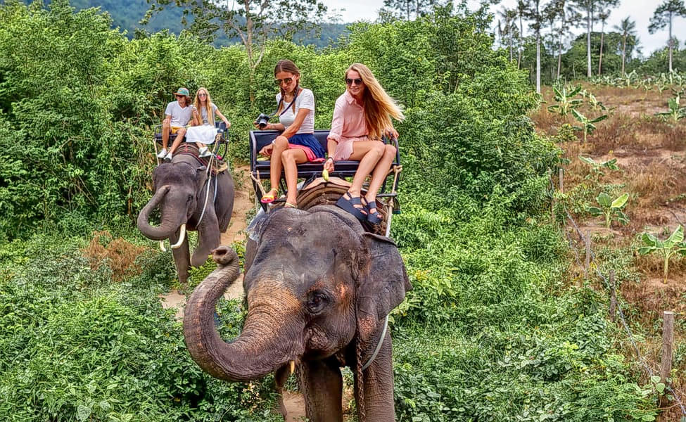 Elephant and Atv Ride In Bali Image