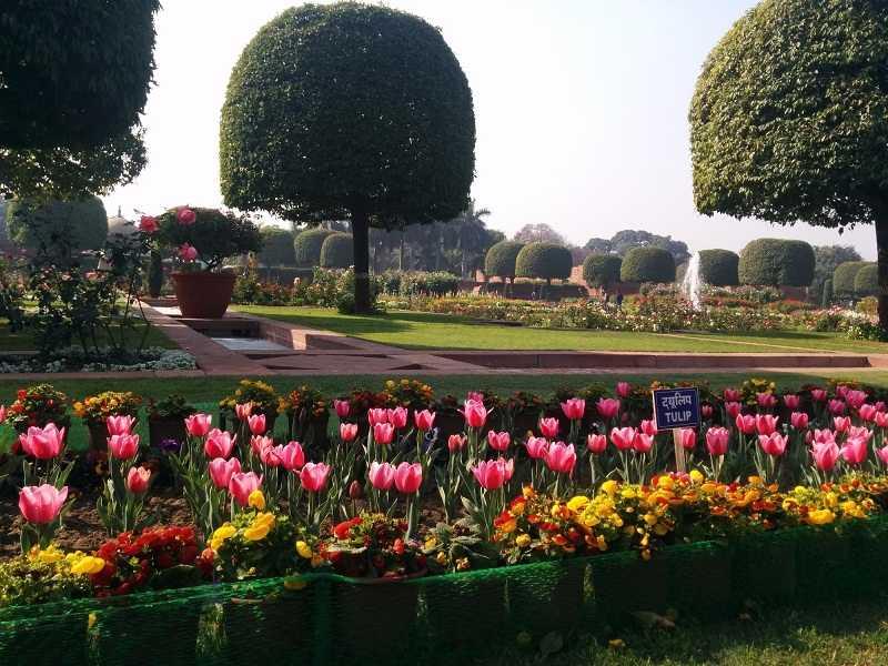 Mughal Garden Visit, Delhi Image