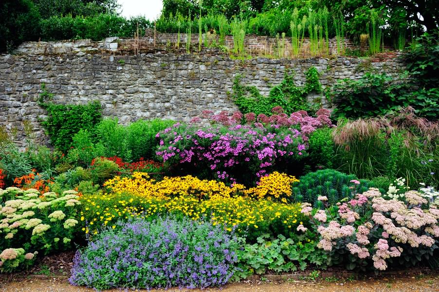 Soak in the beauty of flowers