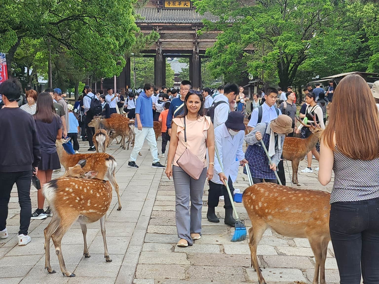 Photo from purnima 's trip