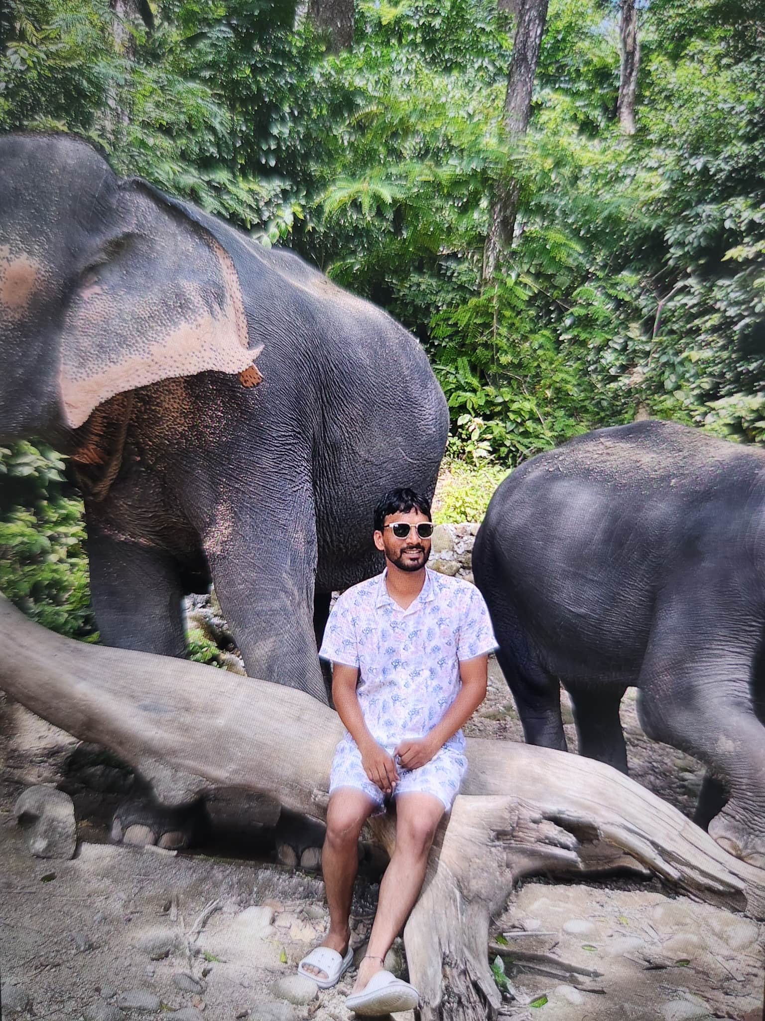 Traveller photo