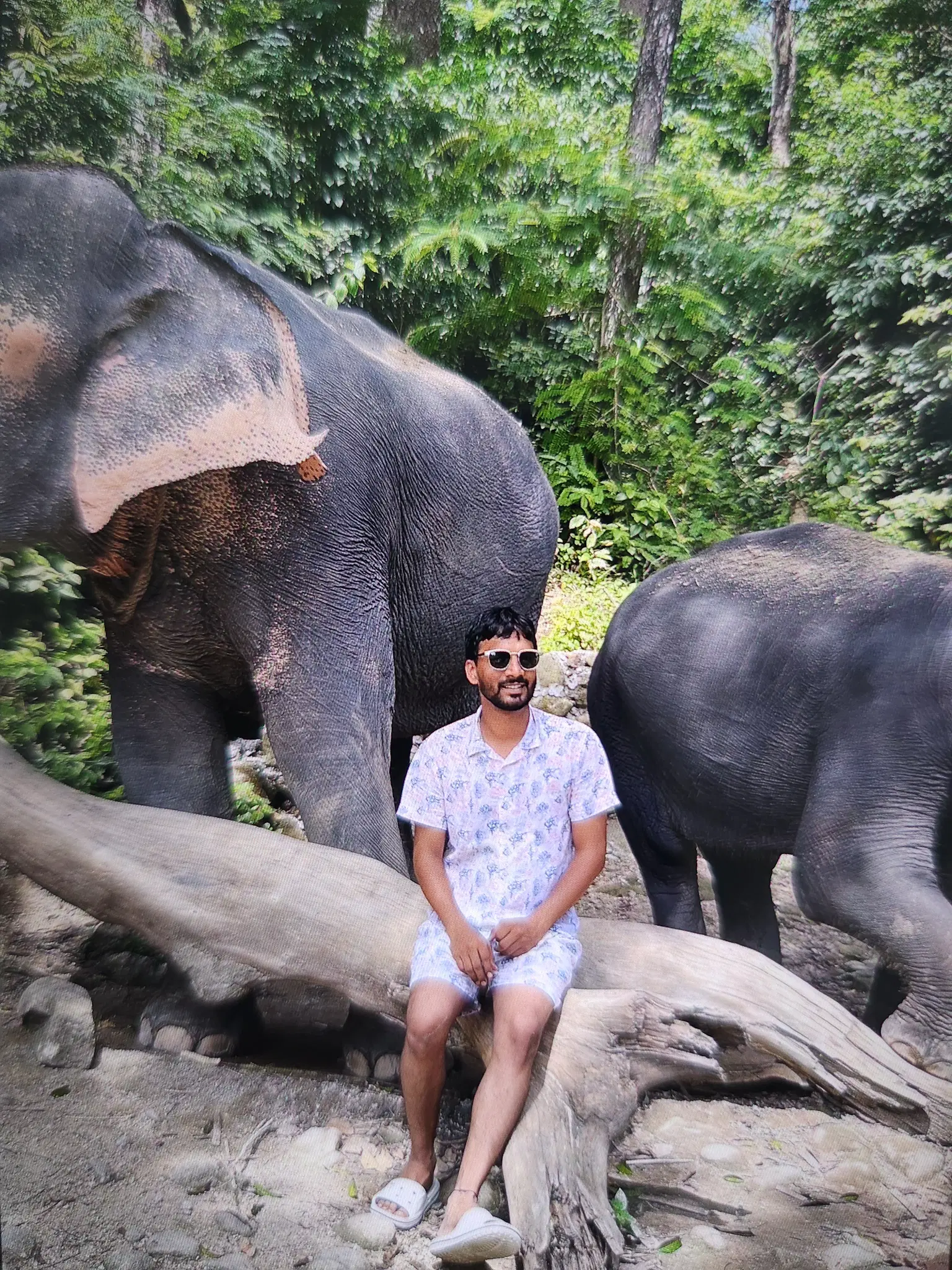 Traveller photo