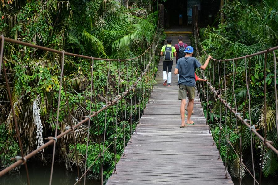 What To Expect In Khao Yai National Park Tour