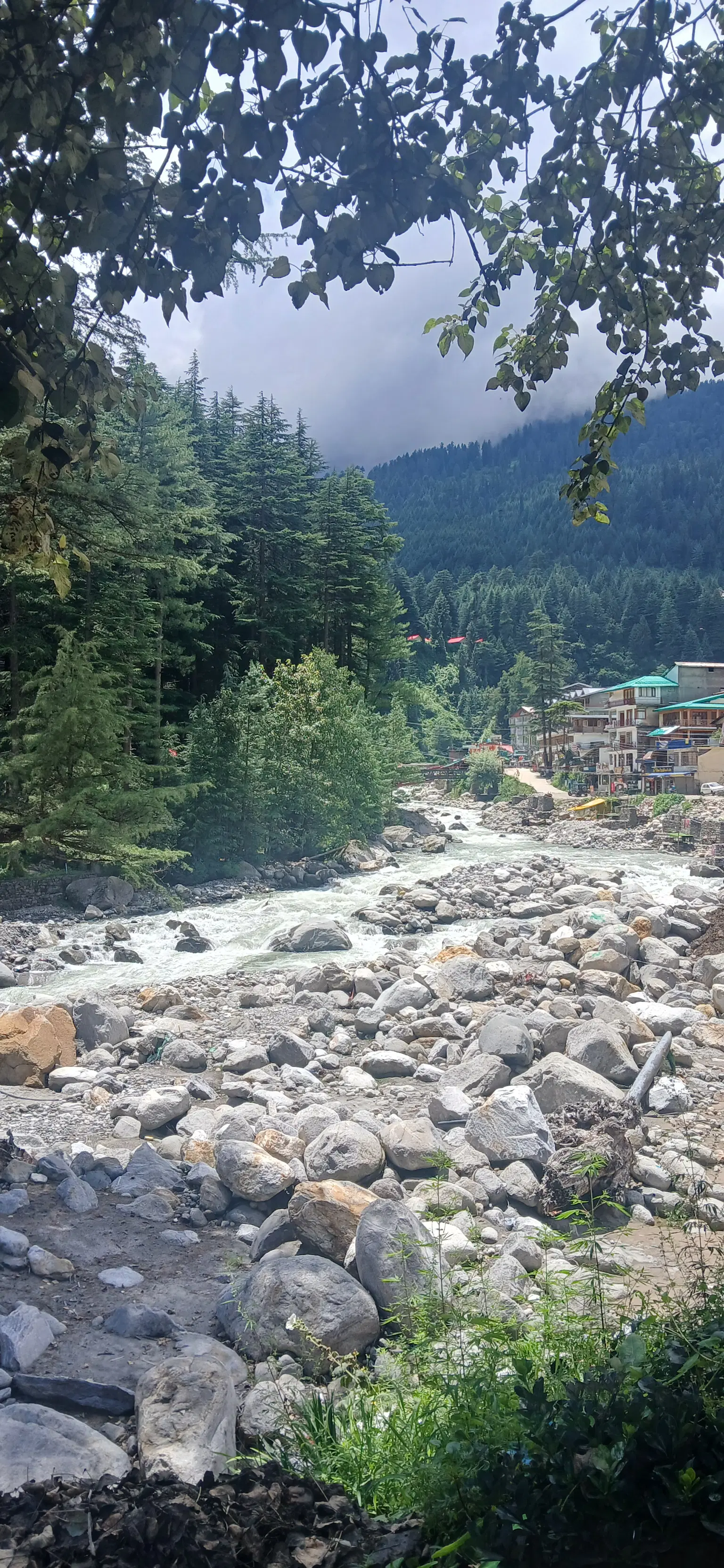 Photo from shobha .'s trip