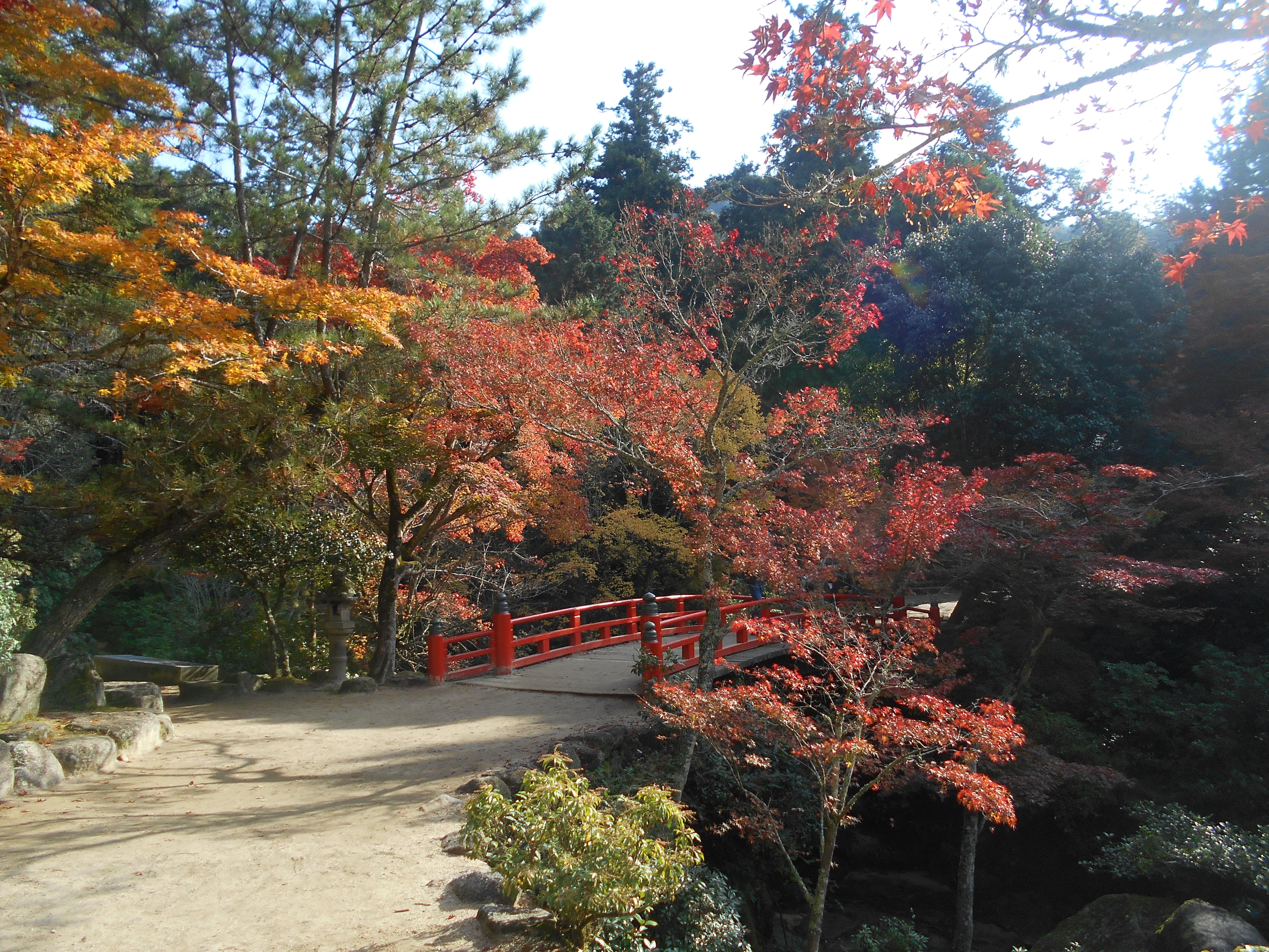 Explore the Walking Trails