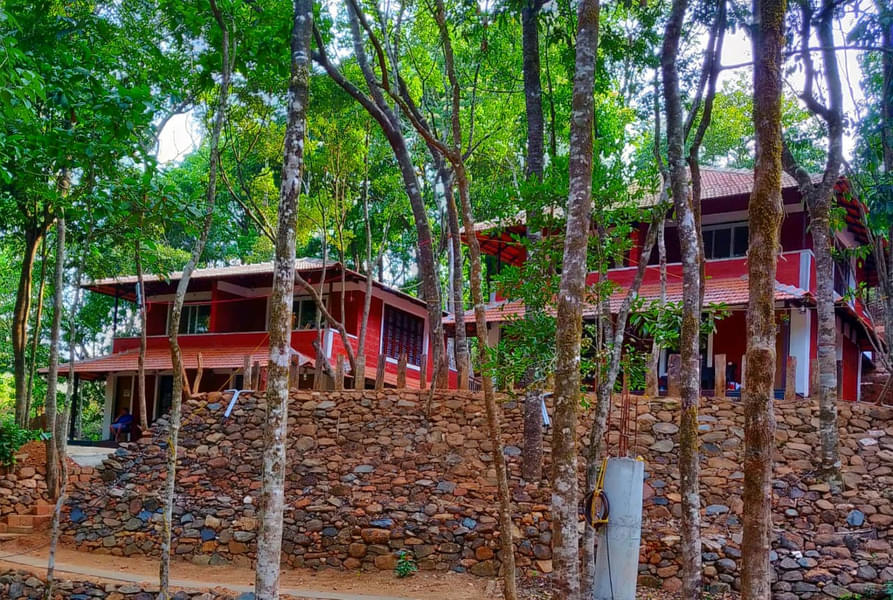 Adventurous Tree House Retreat in Sakleshpur Image
