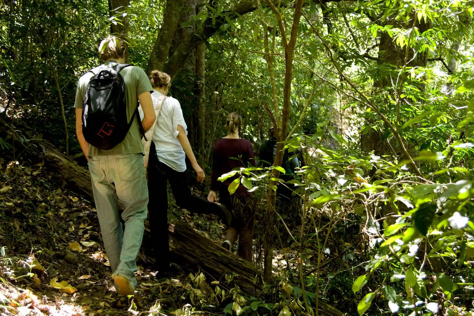 Baraliyar Trek, Tamil Nadu