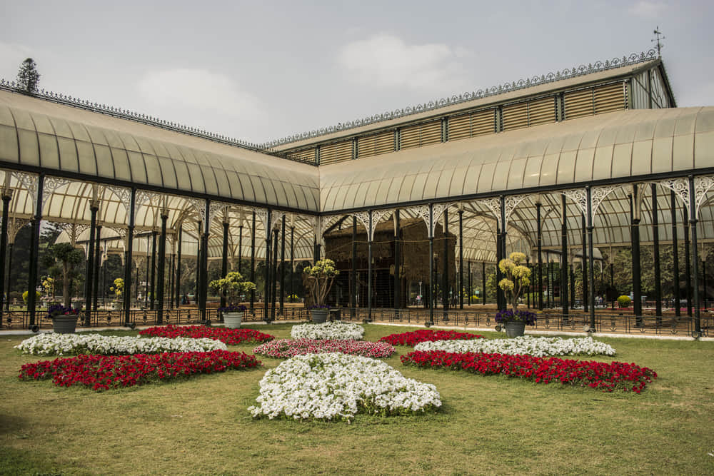 Flower show at Lalbagh Botanical Garden