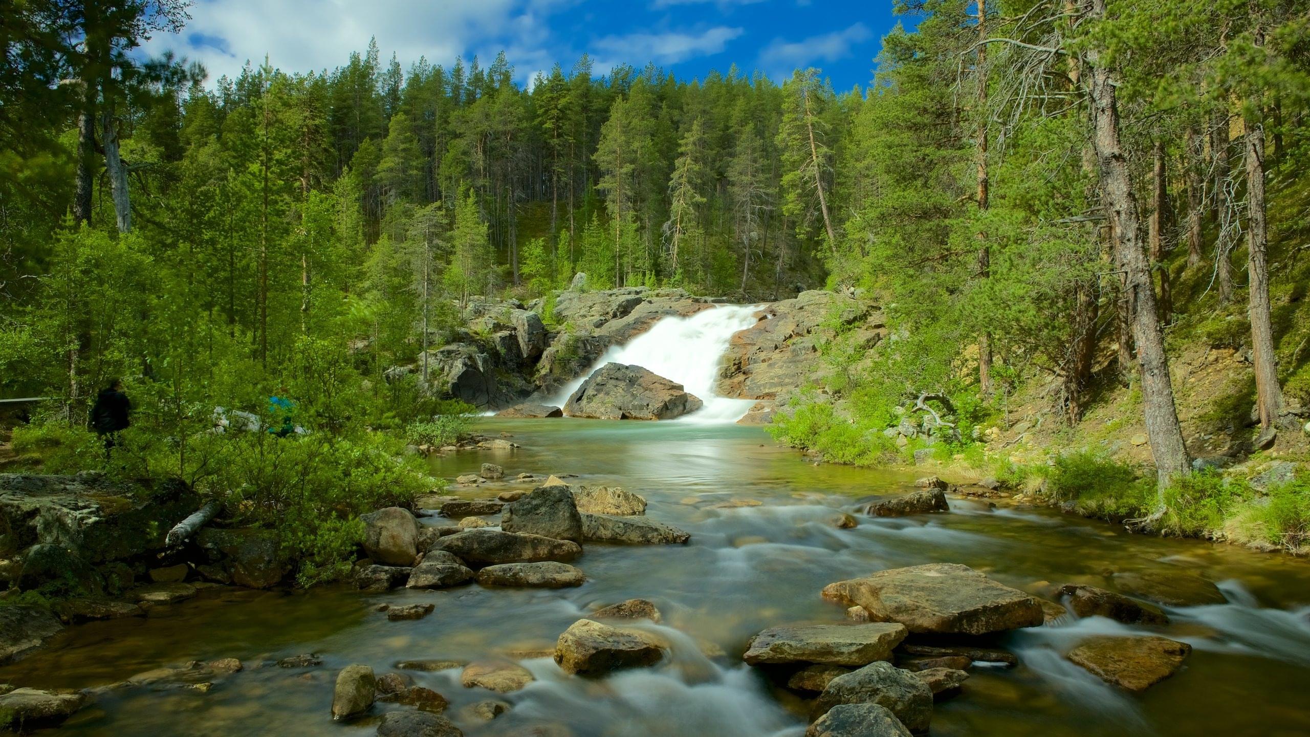 Hike along the trails of Lemmenjoki National Park