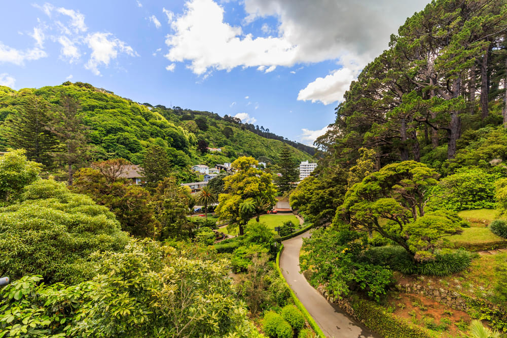 Wellington Botanic Garden Overview