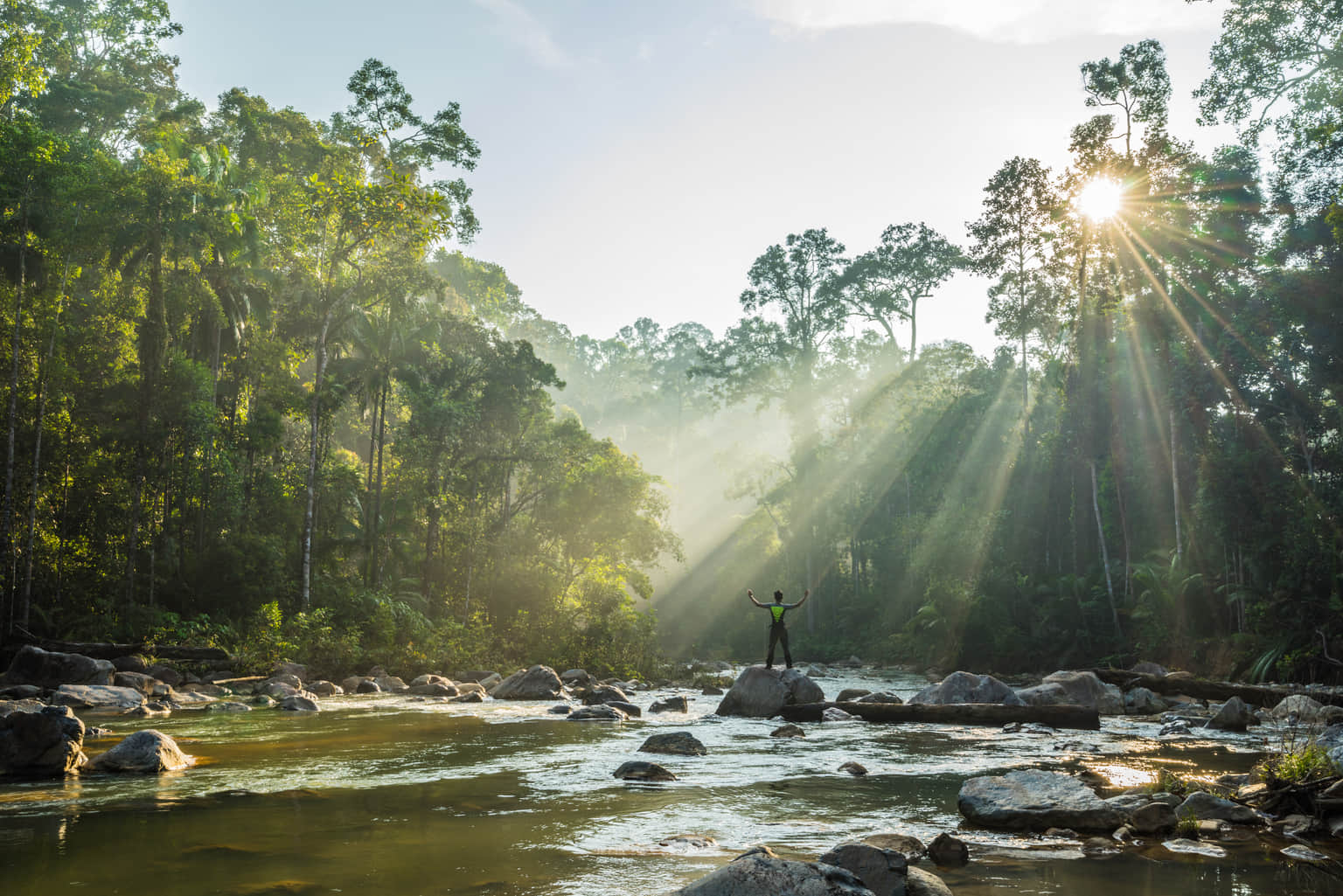 Endau Rompin National Park, <em>Kuala Lumpur</em>