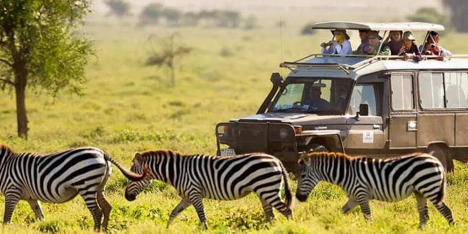 things to do in kenya