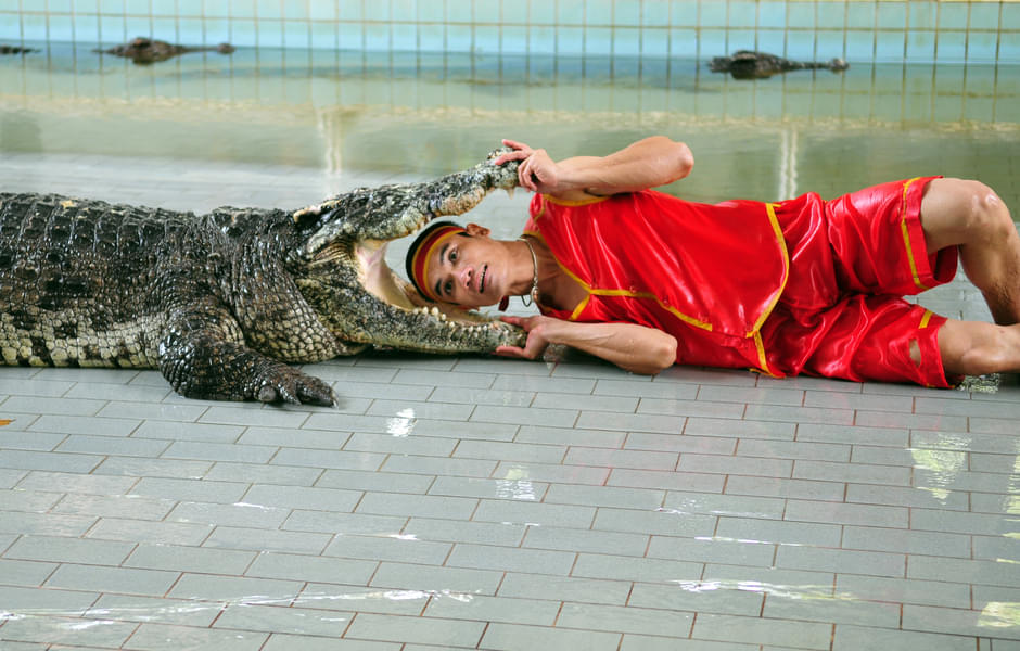 The Million Years Stone Park & Pattaya Crocodile Farm Tickets Image
