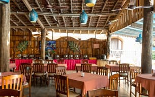 Riy512f5wsm3c8g7ftwt2b6b6xfh parasio%20dinning