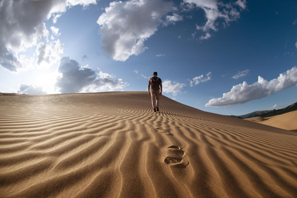 Trail in Desert Dunes