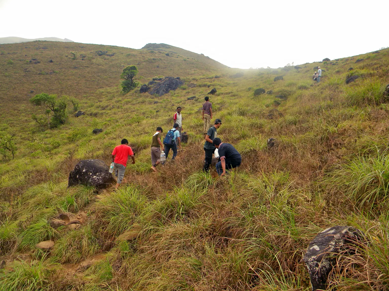 Photo from Anasuya Patil's trip
