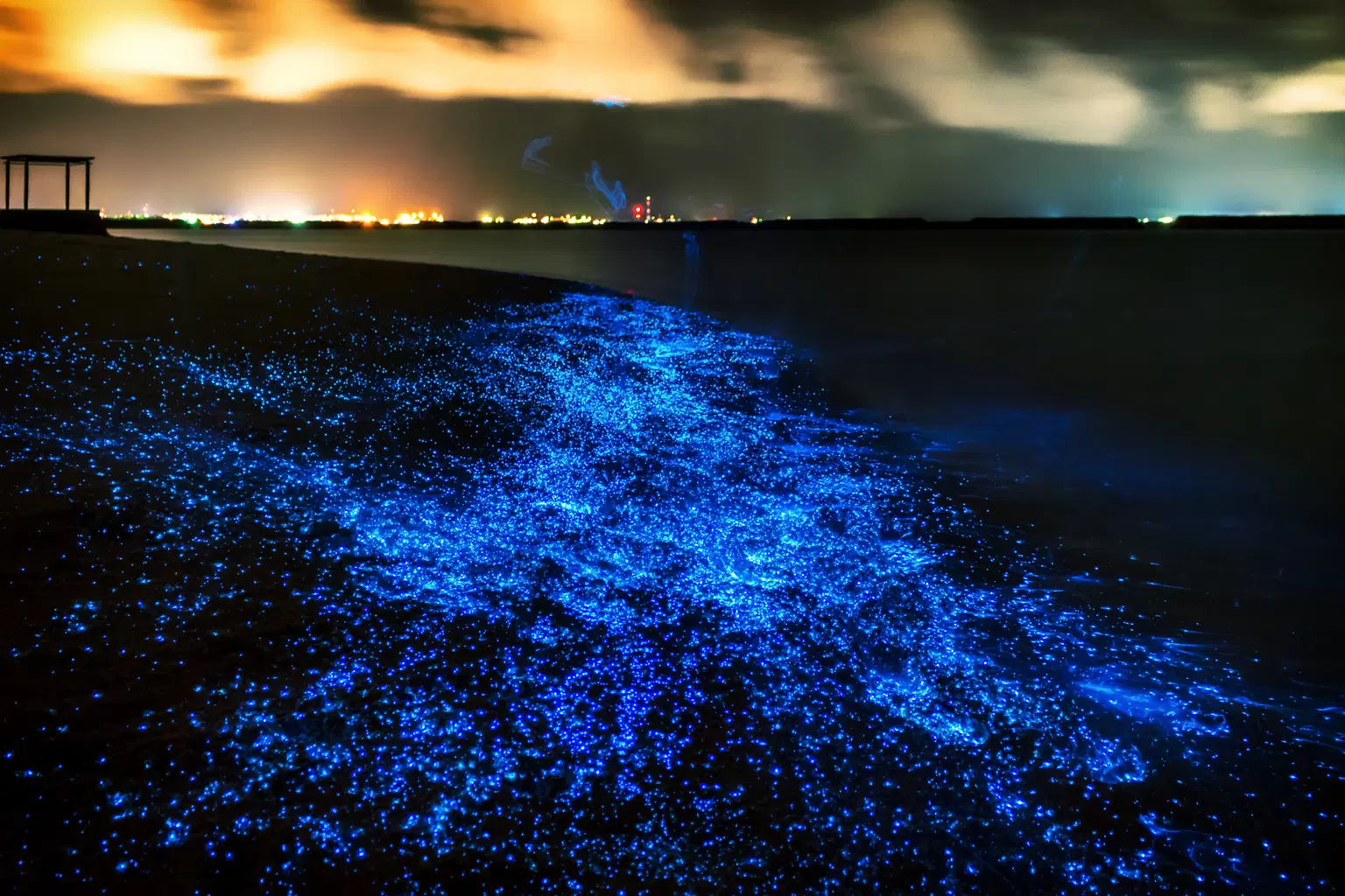 Maldives Glowing Beach